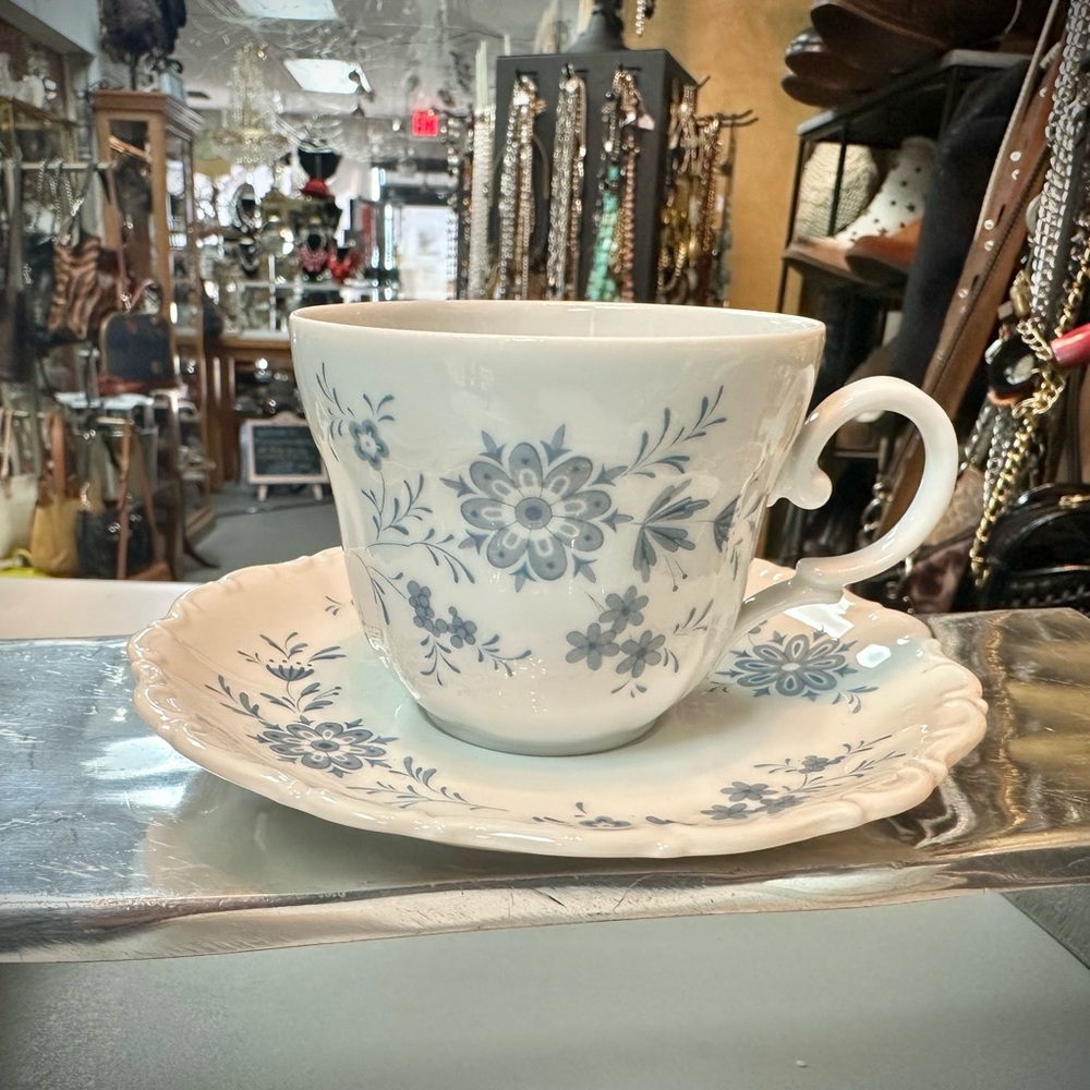 Bavarian Blue W Germany Christina Porcelain Tea Cup & Saucer Set Flower Pattern